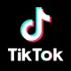 TikTok Mod icon